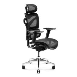 Scaun Gaming Diablo V-Commander Negru