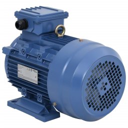 Motor electric trifazic aluminiu 4kW/5,5CP 2 poli 2840 RPM GartenMobel Dekor