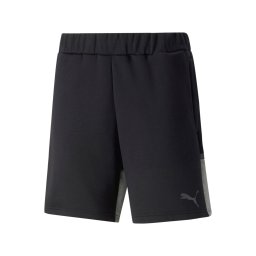 PUMA Pantaloni sport 'Team Cup' gri / negru