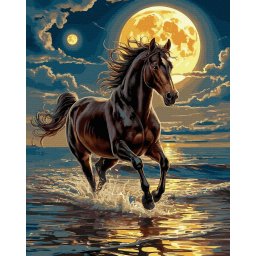 Set pictura pe numere, cu sasiu, Galop in noapte, 40x50 cm