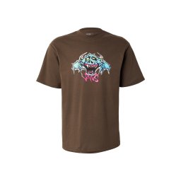 VANS Tricou 'Goofy Ghoul' azuriu / maro / verde pastel / roz