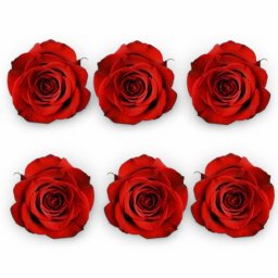 Set 6 Trandafiri Criogenati Rosii in Cutie Eleganta , Cadou Valentine, s Day