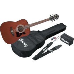 Ibanez V54NJP-OPN