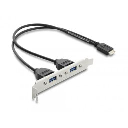 Bracket USB Type E Key B la 2 x USB-A 5 Gbps 0.3m, Delock 67346