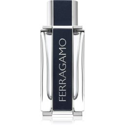 Ferragamo Ferragamo EDT M 100 ml