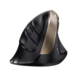 Mouse Ergo "NX-8250S", PC sau NB, wireless, 2.4GHz, optic, 1600 dpi, butoane/scroll 5/1, , gold
