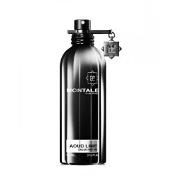 Montale Aoud Lime EDP U 100 ml