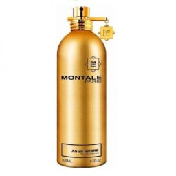 Parfumuri Tester Montale Aoud Ambre EDP U 100 ml Tester