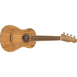 Fender Zuma Exotic Spalted Maple