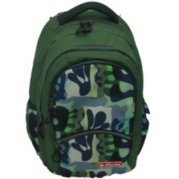 Ghiozdan Ergonomic Zipper Pro, Motiv Drift, 43 cm Inaltime, 29 Latime