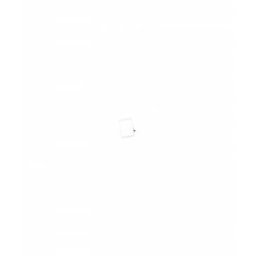Touchscreen Apple iPad 10.2 (2021), A2603 Alb