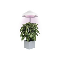 Lampă LED de interior pentru creșterea plantelor GROW LED/5W/5V