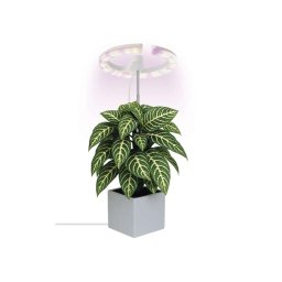 Lampă LED dimabilă de interior pentru cultivarea plantelor GROW LED/8W/5V