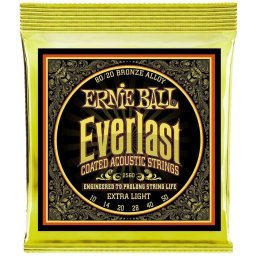 Ernie Ball 2560