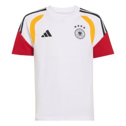 ADIDAS PERFORMANCE Tricou funcțional 'DFB' roșu / negru / alb
