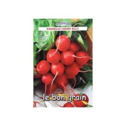 Seminte de Ridichi de Luna, Cherry Belle, 100 g, Raci Sementi