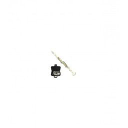 Parrot 7401 C WH