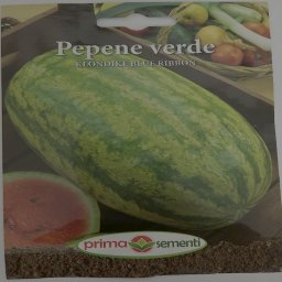 Seminte pepene verde Klondike Blue Ribbon 2 gr, Prima Sementi