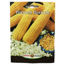 Seminte porumb floricele