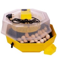 Incubator electric cu cheita si temometru CLEO 5DT