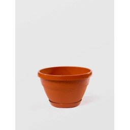 Ghiveci Lalea cu Tava, STERK, 20X11 cm, Plastic Maro