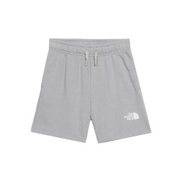 THE NORTH FACE Pantaloni outdoor 'SIMPLE DOME' gri amestecat