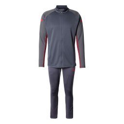 PUMA Îmbrăcaminte sport 'IndividualLIGA' albastru marin / gri grafit / sângeriu