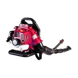 Raider - RD-GB06 - Suflanta de gradina pe benzina, 2 T, 1.7 CP, 720 m3/h
