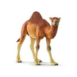 Schleich Wild Life Dromedary - 14832
