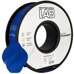 petg albastru laboratorul prof.