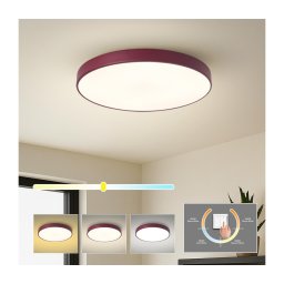 Brilagi - Plafonieră LED POOL LED/60W/230V 3000/4000/6000K 50 cm burgundiu