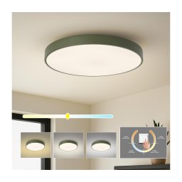 Brilagi - Plafonieră LED POOL, 60W, 230V, 3000/4000/6000K, 60 cm, verde