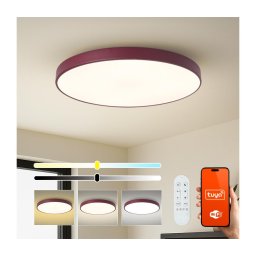 Brilagi-LED Corp de iluminat dimabil SMART pentru piscină LED/100W/230V 80 cm Wi-Fi Tuya+telecomandă burgundiu