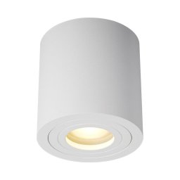 Zuma Line ACGU10-158-N - Spot LED RGBW dimabil 1x GU10/4,8W/230V IP44, alb, cu telecomandă