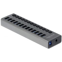 Delock External SS USB Hub 13Ports + Switch - 63738