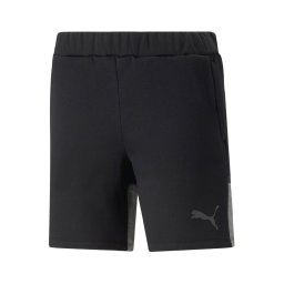 PUMA Pantaloni sport 'Team Cup' gri închis / negru