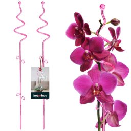 Suport de plante din plastic roz 58 cm set de 2 buc.