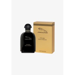 Apa de toaleta For Men Gold in Black 100ml