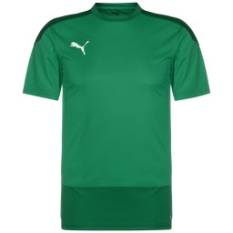 PUMA Tricou funcțional 'TeamGoal 23' verde / verde închis