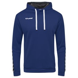 Hummel Hanorac sport 'Authentic' albastru / gri închis / negru / alb