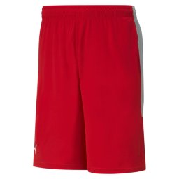 PUMA Pantaloni sport roșu / alb