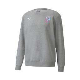 PUMA Hanorac sport 'Neymar' cyan / gri amestecat / roz / alb