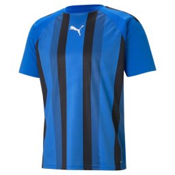 PUMA Tricot 'TeamLiga' albastru regal / negru / alb
