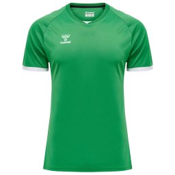 Hummel Tricou funcțional 'Core Volley' verde iarbă / alb