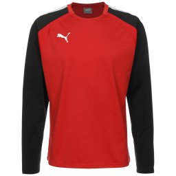PUMA Tricou funcțional 'Team Liga' roșu / negru