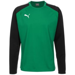 PUMA Tricou funcțional 'Team Liga' verde / negru / alb