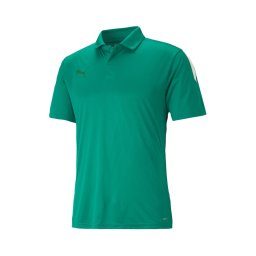 PUMA Tricou funcțional 'TeamLiga' verde iarbă / verde închis / alb