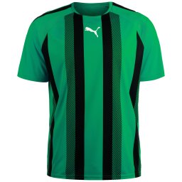PUMA Tricot 'Team Liga' verde smarald / negru / alb