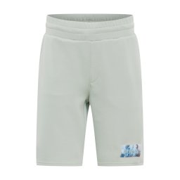 FILA Pantaloni sport 'Clemson' albastru / verde pastel