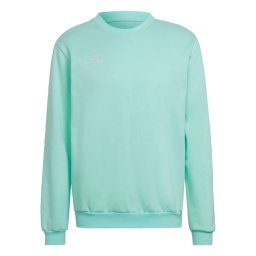 ADIDAS PERFORMANCE Hanorac sport 'Entrada 22' turcoaz